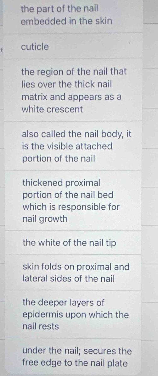 the part of the nail 
embedded in the skin 
cuticle 
the region of the nail that 
lies over the thick nail 
matrix and appears as a 
white crescent 
also called the nail body, it 
is the visible attached 
portion of the nail 
thickened proximal 
portion of the nail bed 
which is responsible for 
nail growth 
the white of the nail tip 
skin folds on proximal and 
lateral sides of the nail 
the deeper layers of 
epidermis upon which the 
nail rests 
under the nail; secures the 
free edge to the nail plate