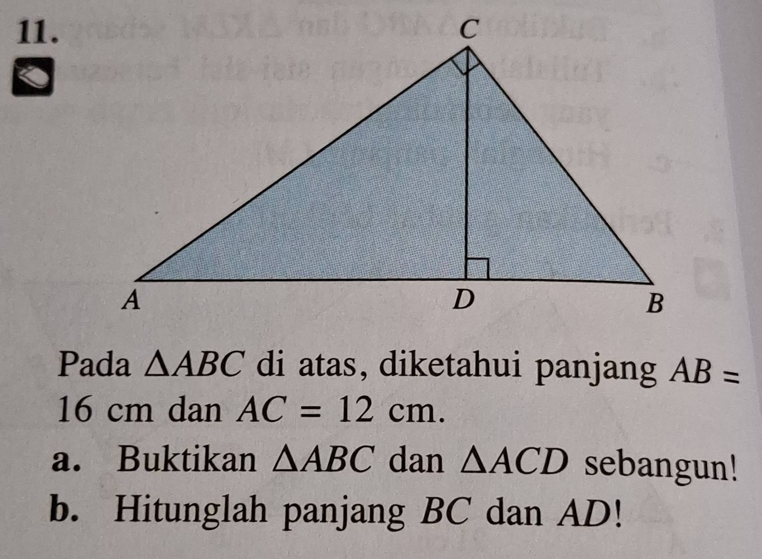 Pada △ ABC di atas, diketahui panjang AB=
16 cm dan AC=12cm. 
a. Buktikan △ ABC dan △ ACD sebangun! 
b. Hitunglah panjang BC dan AD!