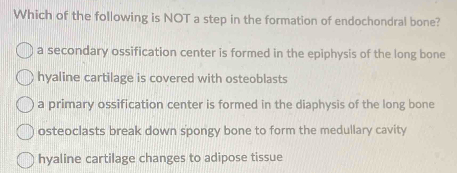 Which of the following is NOT a step in the formation of endochondral bone?
a secondary ossification center is formed in the epiphysis of the long bone
hyaline cartilage is covered with osteoblasts
a primary ossification center is formed in the diaphysis of the long bone
osteoclasts break down spongy bone to form the medullary cavity
hyaline cartilage changes to adipose tissue