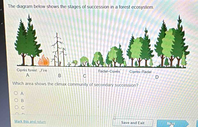 Solved: The diagram below shows the stages of succession in a forest ...