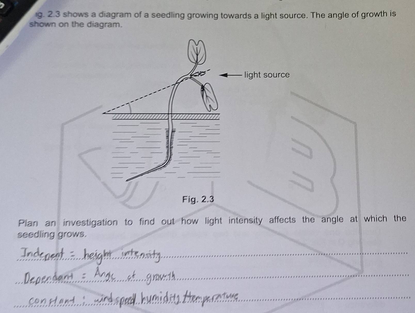 2.3 shows a diagram of a seedling growing towards a light source. The angle of growth is 
shown on the diagram. 
Plan an investigation to find out how light intensity affects the angle at which the 
seedling grows. 
_ 
_ 
_ 
_