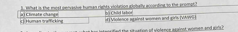 What is the most pervasive human rights violation globally according to the prompt?
a) Climate change b) Child labor
c) Human trafficking d) Violence against women and girls (VAWG)
conrified the situation of violence against women and girls?