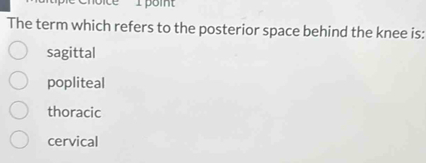 The term which refers to the posterior space behind the knee is:
sagittal
popliteal
thoracic
cervical