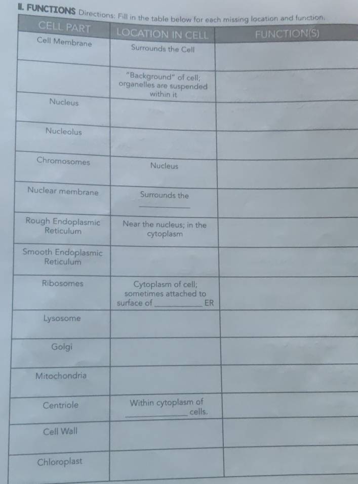 FUNCTIONS Directions: Fill in the table below for each missing location and function. 
Chloroplast