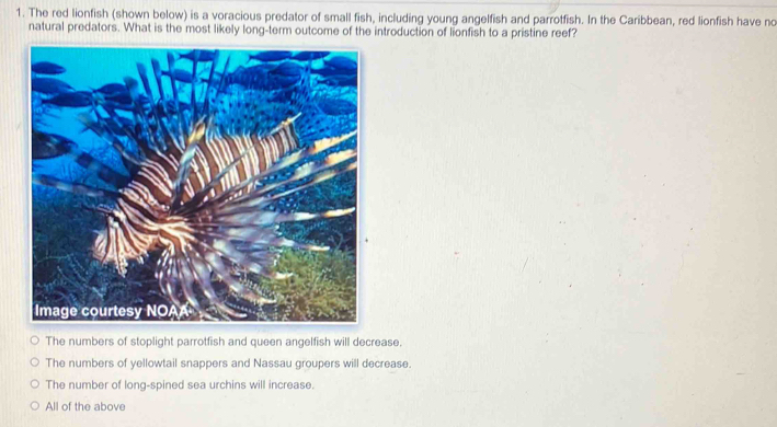 The red lionfish (shown below) is a voracious predator of small fish ...