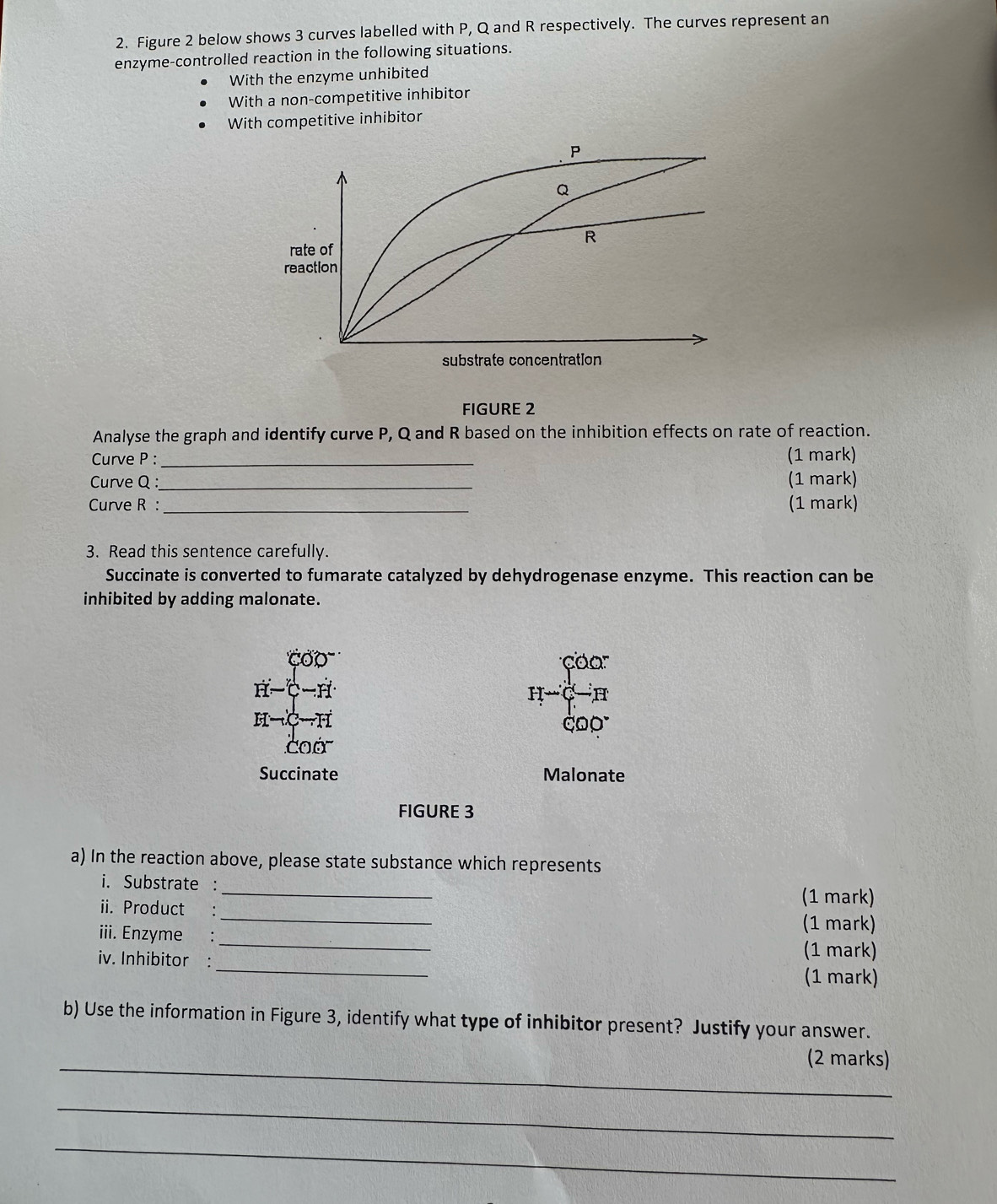 Figure 2 below shows 3 curves labelled with P, Q and R respectively. The curves represent an 
enzyme-controlled reaction in the following situations. 
With the enzyme unhibited 
With a non-competitive inhibitor 
With competitive inhibitor 
FIGURE 2 
Analyse the graph and identify curve P, Q and R based on the inhibition effects on rate of reaction. 
Curve P :_ (1 mark) 
Curve Q :_ (1 mark) 
Curve R :_ (1 mark) 
3. Read this sentence carefully. 
Succinate is converted to fumarate catalyzed by dehydrogenase enzyme. This reaction can be 
inhibited by adding malonate.

I-beginarrayl 00 -15 endbmatrix -r
coó 
Succinate Malonate 
FIGURE 3 
a) In the reaction above, please state substance which represents 
_ 
i. Substrate : _(1 mark) 
ii. Product : 
iii. Enzyme : 
_ 
(1 mark) 
_ 
iv. Inhibitor : 
(1 mark) 
(1 mark) 
b) Use the information in Figure 3, identify what type of inhibitor present? Justify your answer. 
_ 
(2 marks) 
_ 
_