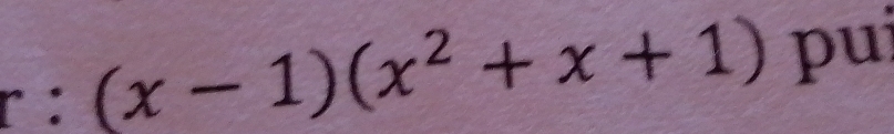 (x-1)(x^2+x+1) pu