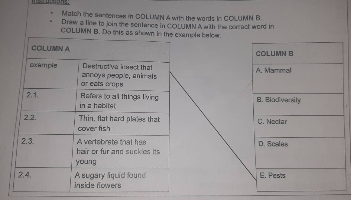 mstructions. 
Match the sentences in COLUMN Awith the words in COLUMN B. 
Draw a line to join the sentence in COLUMN A with the correct word in 
COLUMN B. Dample below.