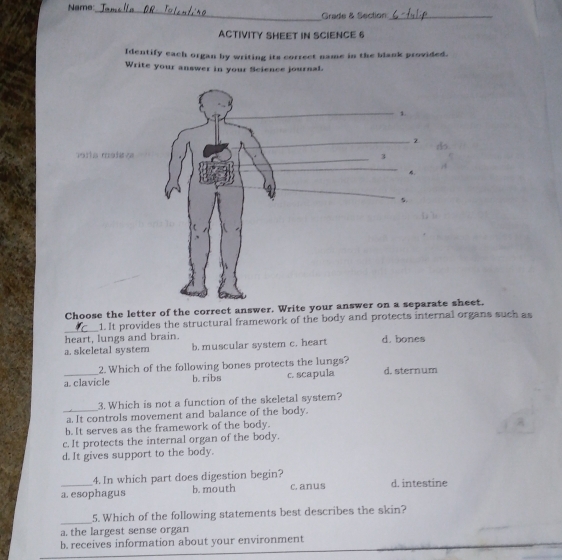 Name:
_
Grade & Section_
ACTIVITY SHEET IN SCIENCE 6
Identify each organ by writing its correct name in the blank provided.
Write your answer in your Science journal.
1.
mor ha mádaza3
4.
5
Choose the letter of the correct answer. Write your answer on a separate sheet.
_1. It provides the structural framework of the body and protects internal organs such as
heart, lungs and brain. d. bones
a. skeletal system b. muscular system c. heart
2. Which of the following bones protects the lungs?
a. clavicle b. ribs c. scapula d. sternum
3. Which is not a function of the skeletal system?
_a. It controls movement and balance of the body.
b. It serves as the framework of the body.
;
c. It protects the internal organ of the body.
d. It gives support to the body.
4. In which part does digestion begin?
a esophagus b. mouth c. anus d. intestine
_
5. Which of the following statements best describes the skin?
a. the largest sense organ
b. receives information about your environment