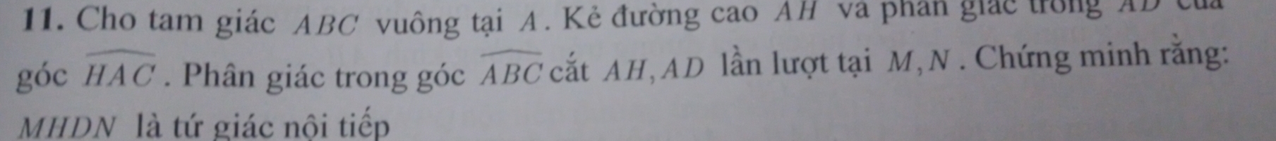 Cho tam giác ABC vuông tại A. Kẻ đường cao AH va phan giac trong AD của 
góc widehat HAC. Phân giác trong góc widehat ABC cắt AH, AD lần lượt tại M, N. Chứng minh răng: 
MHDN là tứ giác nôi tiếp