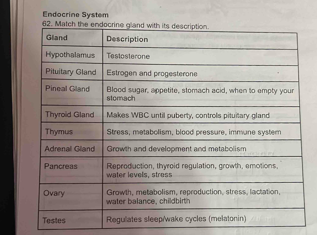 Endocrine System