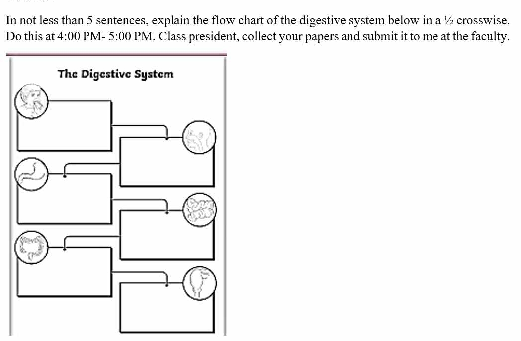 In not less than 5 sentences, explain the flow chart of the digestive system below in a ½ crosswise. 
Do this at 4:00 PM- 5:00 PM. Class president, collect your papers and submit it to me at the faculty.