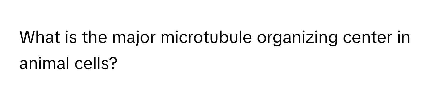 What is the major microtubule organizing center in animal cells?