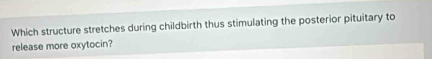 Which structure stretches during childbirth thus stimulating the posterior pituitary to 
release more oxytocin?