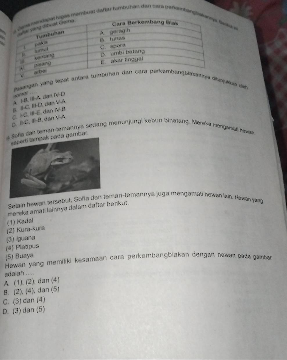 mbuat daftar tumbuhan dan cara perkembangbkut in
a
a
Pasangan ykkan oleh 
nomor . ...
A. I-B, III-A, dan IV-D
g. Il-C, III-D, dan VA
C. I-C, III-E, dan IV-B
D. Il-C, III-B, dan V-4
Sofia dan teman-temannya sedang menunjungi kebun binatang. Mereka mengamati hewan
da gambar.
Selain hewan tersebut, Sman-temannya juga mengamati hewan lain. Hewan yang
mereka amati lainnya dalam daftar berikut.
(1) Kadal
(2) Kura-kura
(3) Iguana
(4) Platipus
(5) Buaya
Hewan yang memiliki kesamaan cara perkembangbiakan dengan hewan pada gambar
adalah ....
A. (1), (2), dan (4)
B. (2), (4), dan (5)
C. (3) dan (4)
D. (3) dan (5)