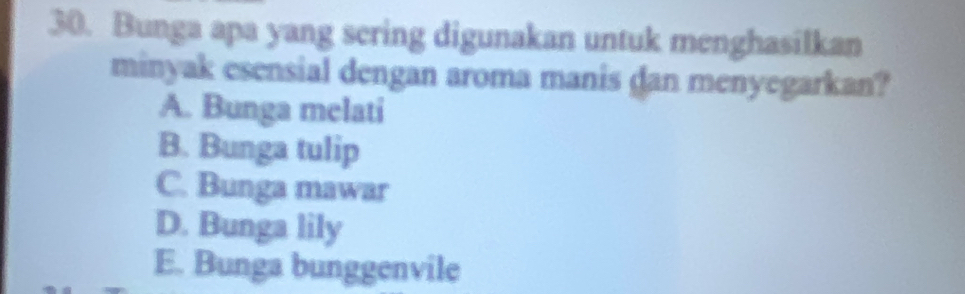 Bunga apa yang sering digunakan untuk menghasilkan
minyak esensial dengan aroma manis dan menyegarkan?
A. Bunga melati
B. Bunga tulip
C. Bunga mawar
D. Bunga lily
E. Bunga bunggenvile