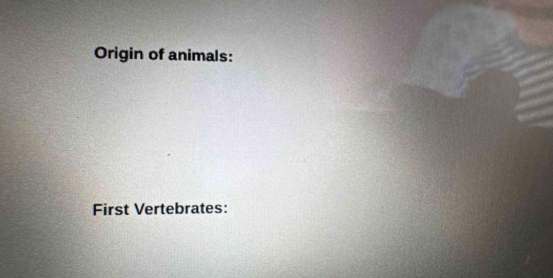 Origin of animals: 
First Vertebrates: