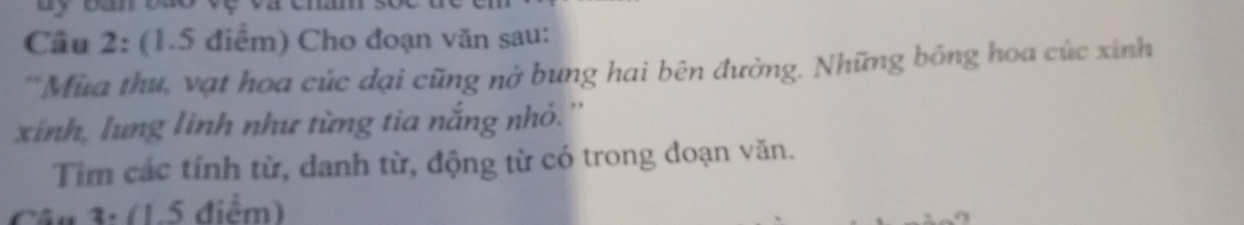 Cầu 2: (1.5 điểm) Cho đoạn văn sau: 
**Mùa thu, vạt hoa cúc dại cũng nở bung hai bên đường. Những bông hoa cúc xinh 
xinh, lung linh như từng tia nắng nhỏ.'' 
Tìm các tính từ, danh từ, động từ có trong đoạn văn. 
Câu 3: (1.5 điểm)