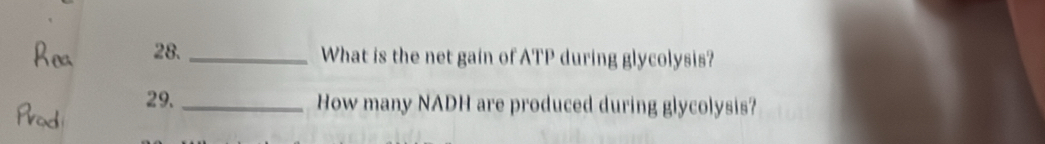 What is the net gain of ATP during glycolysis? 
29. _How many NADH are produced during glycolysis?