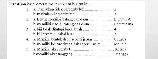 Perhatikan kunci determinasi tumbuhan berikut ini ! 
1. a. Tumbuhan tidak berpembuluh _ 2
b. tumbuhan berpembuluh _ 3
2. a. Belum memilki batang dan daun_ Lumut hati 
b. memiliki rizoid, batang dan daun _Lumut daun 
3. a. biji tidak ditutupi bakal buah _ 4
b. biji tertutupi bakal buah _ 5
4. a. Memilki bentuk daun seperti jarum _Cemara 
b. memilki bentuk daun tidak seperti jarum _Melinjo 
5. a. Memilki akar serabut Kelapa 
b.memilki akar tunggang Mangga