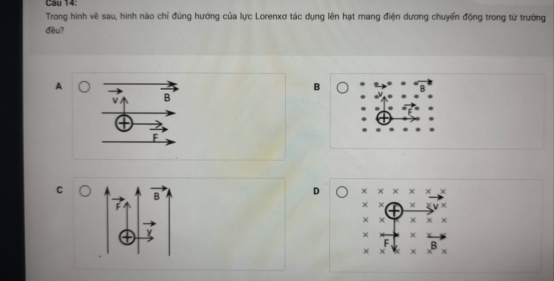 Cầu 14:
Trong hình vẽ sau, hình nào chỉ đúng hướng của lực Lorenxơ tác dụng lên hạt mang điện dương chuyển động trong từ trường
đều?
A
B
C
D
* * * * * * * *
* * x≤slant v*
* * * * *
F
B
×