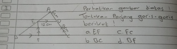 Perhatikan gambar diatas
Tenluvan Panjang goris-goris
berilot!
a. EF C. FC
b. BC d. BF