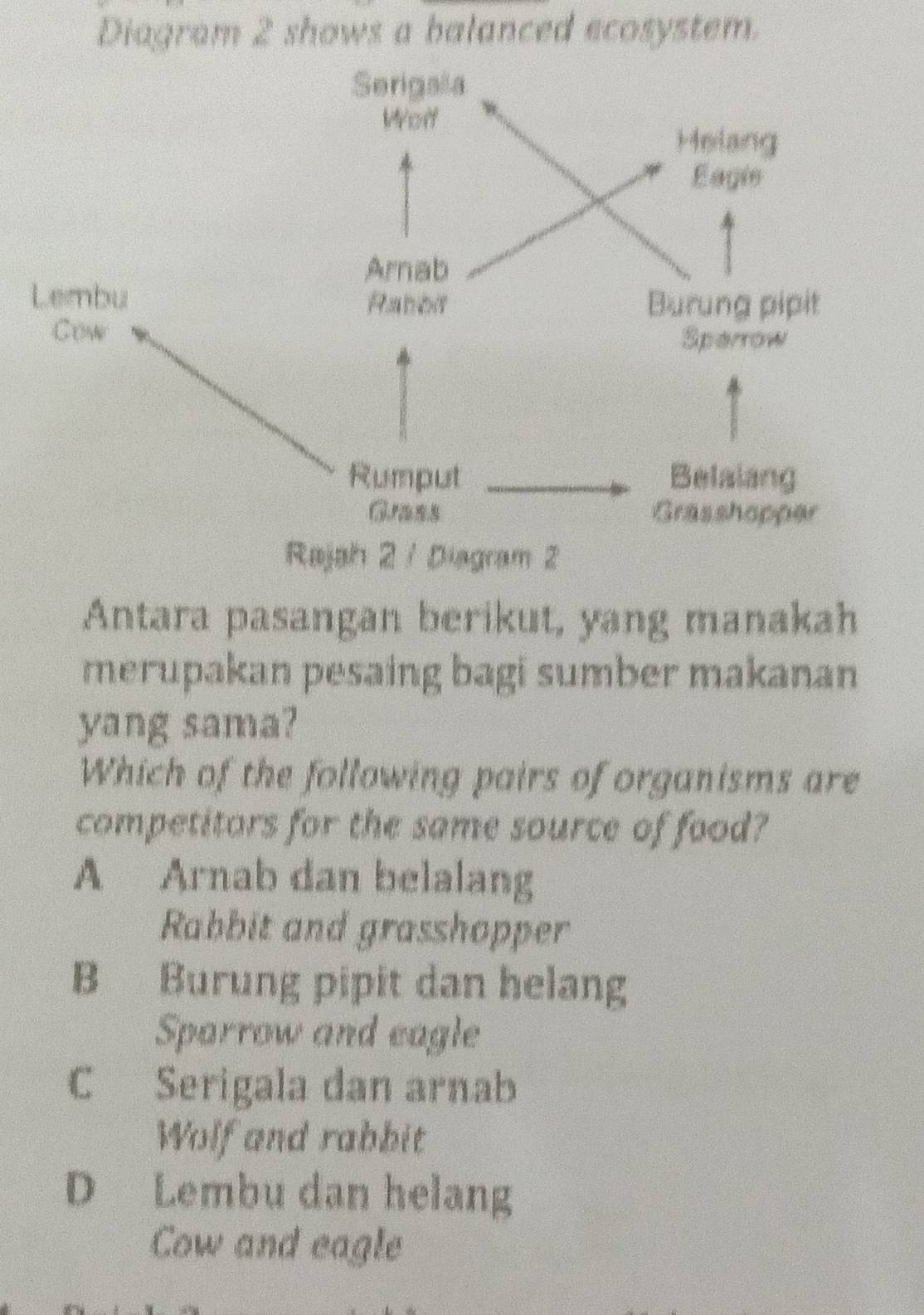 Diagram 2 shows a balanced ecosystem.
Antara pasangan berikut, yang manakah
merupakan pesaing bagi sumber makanan
yang sama?
Which of the following pairs of organisms are
competitors for the same source of food?
A Arnab dan belalang
Rabbit and grasshopper
B Burung pipit dan helang
Sparrow and eagle
C Serigala dan arnab
Wolf and rabbit
D Lembu dan helang
Cow and eagle