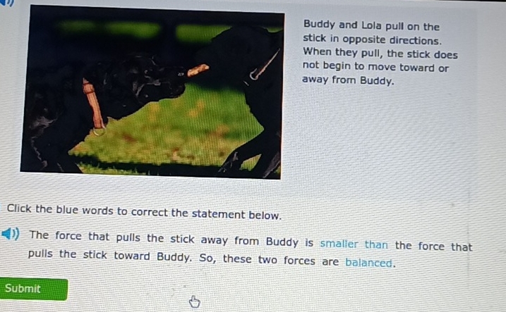 Buddy and Lola pull on the 
stick in opposite directions. 
When they pull, the stick does 
not begin to move toward or 
away from Buddy. 
Click the blue words to correct the statement below. 
The force that pulls the stick away from Buddy is smaller than the force that 
pulls the stick toward Buddy. So, these two forces are balanced. 
Submit