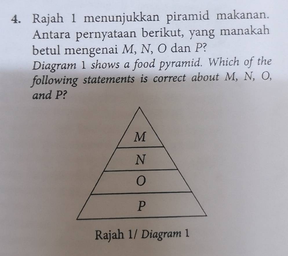 Rajah 1 menunjukkan piramid makanan.
Antara pernyataan berikut, yang manakah
betul mengenai M, N, O dan P?
Diagram 1 shows a food pyramid. Which of the
following statements is correct about M, N, O,
and P?
M
N
0
P
Rajah 1/ Diagram 1