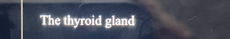 The thyroid gland