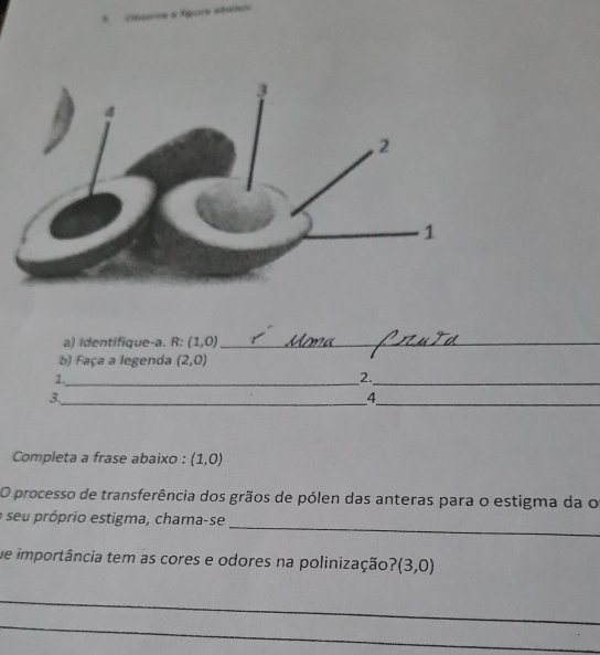 Cluerve a Águrs shéteo 
a) identifique-a. R: (1,0) _ 
b) Faça a legenda (2,0)
1._ 
2._ 
3._ 
_ 
4 
Completa a frase abaixo : (1,0)
O processo de transferência dos grãos de pólen das anteras para o estigma da o 
_ 
a seu próprio estigma, chama-se 
ue importância tem as cores e odores na polinização? (3,0)
_ 
_