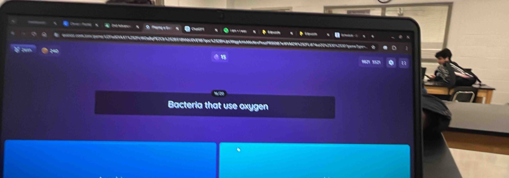 Bacteria that use oxygen