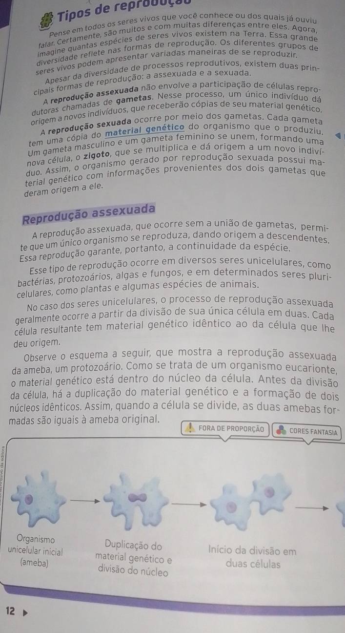 Tipos de reprouuçoo
Pense em todos os seres vivos que você conhece ou dos quais já ouviu
falar. Certamente, são muitos e com muitas diferenças entre eles. Agora,
imagine quantas espécies de seres vivos existem na Terra. Essa grande
diversidade reflete nas formas de reprodução. Os diferentes grupos de
seres vivos podem apresentar variadas maneiras de se reproduzir.
Apesar da diversidade de processos reprodutivos, existem duas prin-
cipais formas de reprodução: a assexuada e a sexuada.
A reprodução assexuada não envolve a participação de células repro-
dutoras chamadas de gametas. Nesse processo, um único indivíduo dá
origem a novos indivíduos, que receberão cópias de seu materíal genético.
A reprodução sexuada ocorre por meio dos gametas. Cada gameta
tem uma cópia do material genético do organismo que o produziu.
Um gameta masculino e um gameta feminino se unem, formando uma
nova célula, o zigoto, que se multiplica e dá origem a um novo indiví
duo. Assim, o organismo gerado por reprodução sexuada possui ma
terial genético com informações provenientes dos dois gametas que
deram origem a ele.
Reprodução assexuada
A reprodução assexuada, que ocorre sem a união de gametas, permi-
te que um único organismo se reproduza, dando origem a descendentes.
Essa reprodução garante, portanto, a continuidade da espécie.
Esse tipo de reprodução ocorre em diversos seres unicelulares, como
bactérias, protozoários, algas e fungos, e em determinados seres pluri-
celulares, como plantas e algumas espécies de animais.
No caso dos seres unicelulares, o processo de reprodução assexuada
geralmente ocorre a partir da divisão de sua única célula em duas. Cada
célula resultante tem material genético idêntico ao da célula que lhe
deu origem.
Observe o esquema a seguir, que mostra a reprodução assexuada
da ameba, um protozoário. Como se trata de um organismo eucarionte,
o material genético está dentro do núcleo da célula. Antes da divisão
da célula, há a duplicação do material genético e a formação de dois
núcleos idênticos. Assim, quando a célula se divide, as duas amebas for-
madas são iguais à ameba original.
FORA DE PROPORÇÃO CORES FANTASIA
Organismo Duplicação do  Início da divisão em
unicelular inicial material genético e
duas células
(ameba) divisão do núcleo
12