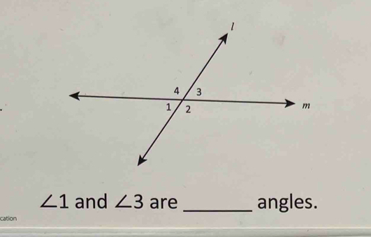 ∠ 1 and ∠ 3 are _angles. 
cation