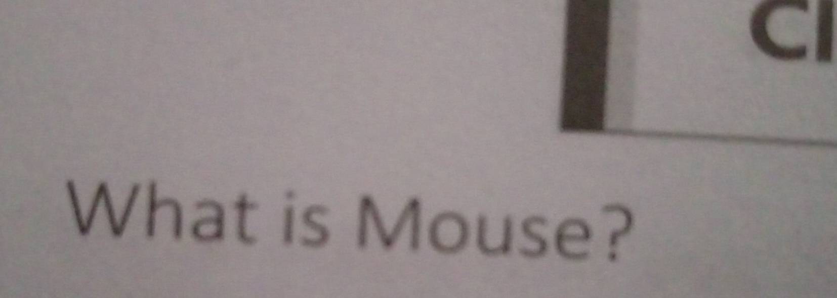 CI 
What is Mouse?