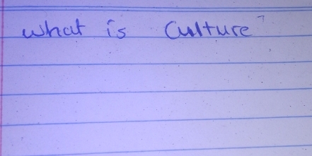 what is Culture?