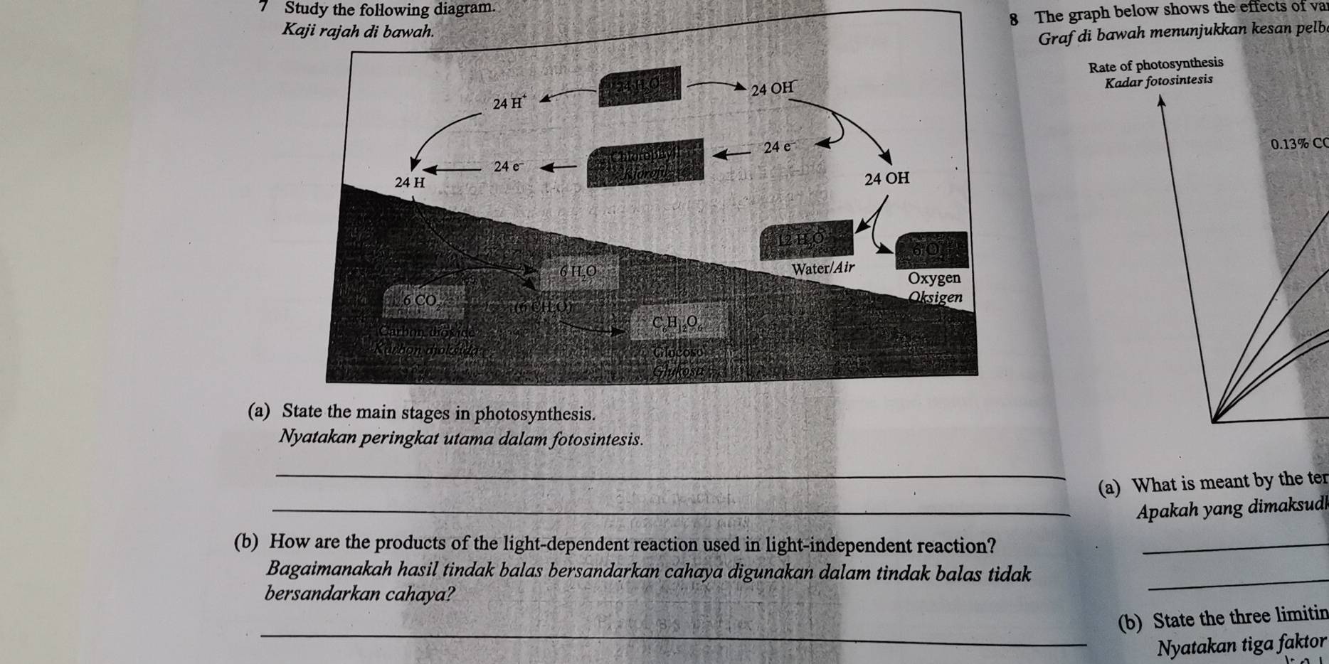 Study the following diagram.
8 The graph below shows the effects of va
K
Grafdi bawah menunjukkan kesan pelb
Rate of photosynthesis
Kadar fotosintesis
0.13% C(
(a) Sthe main stages in photosynthesis.
Nyatakan peringkat utama dalam fotosintesis.
_
(a) What is meant by the ter
_Apakah yang dimaksudl
(b) How are the products of the light-dependent reaction used in light-independent reaction?_
Bagaimanakah hasil tindak balas bersandarkan cahaya digunakan dalam tindak balas tidak_
bersandarkan cahaya?
_
(b) State the three limitin
Nyatakan tiga faktor