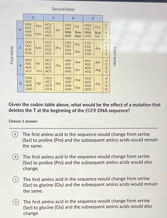 Solved: Second letter Given the codon table above, what would be the ...