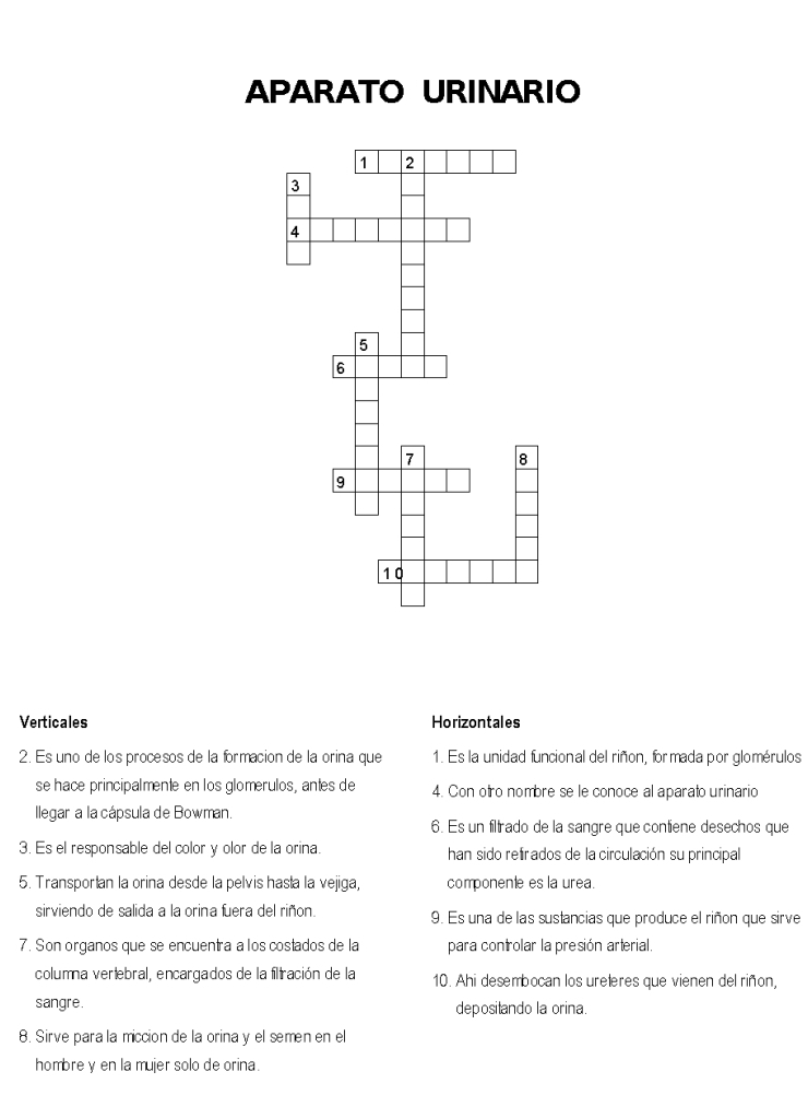 APARATO URINARIO
Verticales Horizontales
2. Es uno de los procesos de la formacion de la orina que 1. Es la unidad funcional del riñon, for mada por glomérulos
se hace principalmente en los glomerulos, antes de 4. Con otro nombre se le conoce al aparato urinario
llegar a la cápsula de Bowman.
6. Es un filtrado de la sangre que contiene desechos que
3. Es el responsable del color y olor de la orina. han sido retrados de la circulación su principal
5. Transportan la orina desde la pelvis hasla la vejiga, componente es la urea.
sirviendo de salida a la orina fuera del riñon. 9. Es una de las sustancias que produce el riñon que sirve
7. Son organos que se encuentra a los costados de la para controlar la presión arterial.
columna vertebral, encargados de la filtración de la 10. Ahi desembocan los ureteres que vienen del riñon,
sangre. depositando la orina.
8. Sirve para la miccion de la orina y el semen en el
hombre y en la mujer solo de orina.