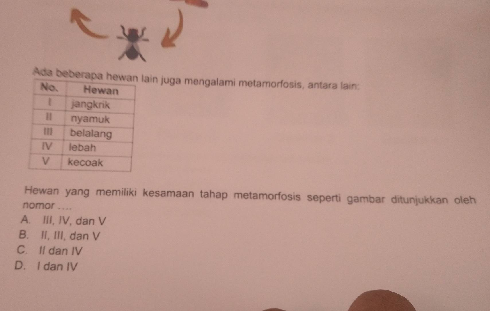 Ada beberaain juga mengalami metamorfosis, antara lain:
Hewan yang memiliki kesamaan tahap metamorfosis seperti gambar ditunjukkan oleh
nomor ....
A. III, IV, dan V
B. II, III, dan V
C. II dan IV
D. I dan IV