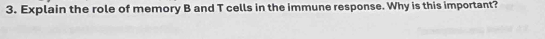Explain the role of memory B and T cells in the immune response. Why is this important?