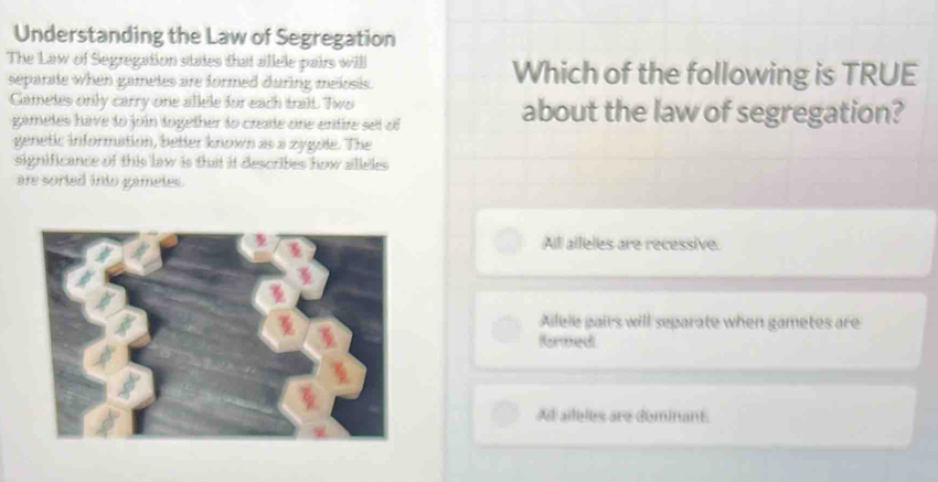 Understanding the Law of Segregation
The Law of Segregation states that allele pairs will Which of the following is TRUE
separate when gametes are formed during melosis.
Cametes only carry one allele for each trait. Two about the law of segregation?
gametes have to join together to create one entire set of
genetic information, better known as a zygole. The
significance of this law is that it describes how alleles .
are soried into gameles .
All alleles are recessive.
Ailele pairs will separate when gametes are
(Roaehared)
Ad aileles are dominant.