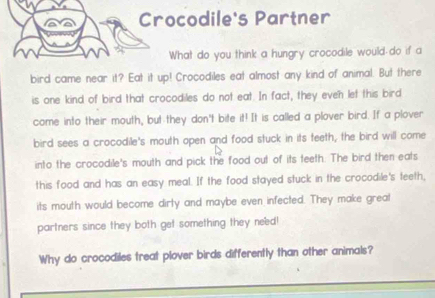 Crocodile's Partner 
What do you think a hungry crocodile would do if a 
bird came near it? Eat it up! Crocodiles eat almost any kind of animal. But there 
is one kind of bird that crocodiles do not eat. In fact, they even let this bird 
come into their mouth, but they don't bite it! It is called a plover bird. If a plover 
bird sees a crocodile's mouth open and food stuck in its teeth, the bird will come 
into the crocodile's mouth and pick the food out of its teeth. The bird then eats 
this food and has an easy meal. If the food stayed stuck in the crocodile's teeth, 
its mouth would become dirty and maybe even infected. They make great 
partners since they both get something they need! 
Why do crocodiles treat plover birds differently than other animals?