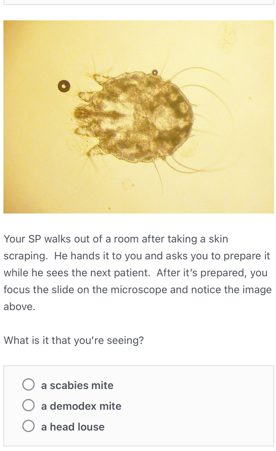 Solved: Your SP walks out of a room after taking a skin scraping. He ...