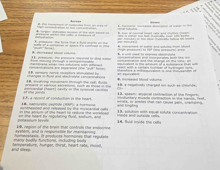 、
       
3 9        
Across Down
2. the movement of molecules from an area of
high concentration to low concentration. renal tubules. 1. hormone: increases absorption of water in the
6. turgor: indicates tension of the skin based on 3. loss of normal heart rate and rhythm [heart  
pressure within the cells; a measure of rate is either too fast (typically over 100 beats
dehydration per minute) or too slow (typically below 60 beats 4 º
7. pressure: the force that a fluid exerts on the per minute)]
walls of a container or space it's confined in (the 4. movement of water and solutes from blood
“push” force). (high pressure) to ISF (low pressure) area
9. decreased blood volume. 5. a unit used to express electrolyte
11. pressure: the pressure required to stop water concentrations and incorporates both the ion
from moving through a semipermeable concentration and the charge on the ions; an
membrane when two solutions with different equivalent is the amount of a substance that will
concentrations are separated (the “pull” force) react with a certain number of hydrogen ions,
15. sensory nerve receptors stimulated by an equivalent therefore a milliequivalent is one thousandth of
changes in fluid and electrolyte concentrations 8. increased blood volume
16. involving movement through the cell; fluids
present in various secretions, such as those in the 10. a negatively charged ion such as chloride,
pericardial (heart) cavity or the synovial cavities Cl-
of the joints 12. spasm: atypical contraction of the fingers;
involuntary muscle contraction in the hands, feet,
17. a record of conduction in the heart. wrists, or ankles that can cause pain, cramping,
18. natriuretic peptide (ANP): a hormone and tingling
synthesized and released by the myocardial cells
in the atrium of the heart to reduce the workload 13. solution with equal solute concentration
on the heart by regulating fluid, sodium, and inside and outside cells.
potassium levels 14. fluid inside the cells
19. region of the brain that controls the endocrine
system, and is responsible for maintaining
homeostasis. It produces hormones that regulate
many bodily functions, including body
temperature, hunger, thirst, heart rate, mood,
and sleep.