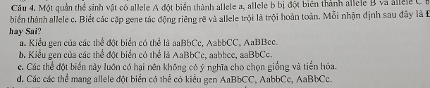 Một quần thể sinh vật có allele A đột biển thành allele a, allele b bị đột biên thành allele B va allele C B
biến thành allele c. Biết các cặp gene tác động riêng rẽ và allele trội là trội hoàn toàn. Mỗi nhận định sau đây là E
hay Sai?
a. Kiểu gen của các thể đột biển có thể là aaBbCc, AabbCC, AaBBcc.
b. Kiểu gen của các thể đột biển có thể là AaBbCc, aabbcc, aaBbCc.
c. Các thể đột biển này luôn có hại nên không có ý nghĩa cho chọn giống và tiến hóa.
d. Các các thể mang allele đột biển có thể có kiểu gen AaBbCC, AabbCc, AaBbCc.