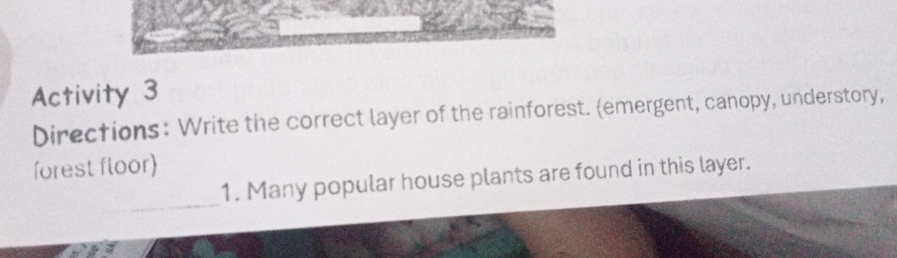 Activity 3 
Directions: Write the correct layer of the rainforest. (emergent, canopy, understory, 
forest floor) 
_ 
1. Many popular house plants are found in this layer.