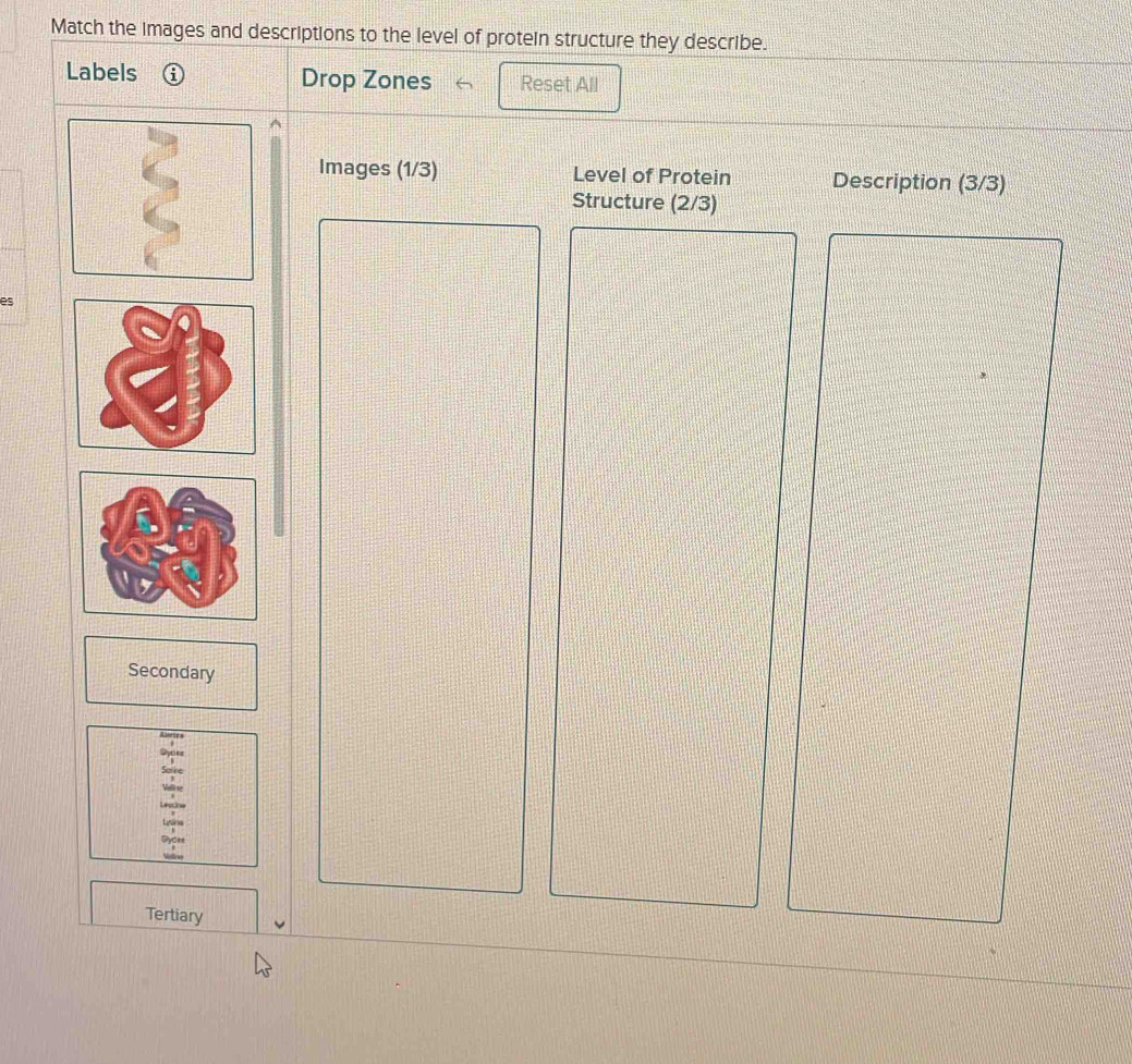 Match the images and descriptions to the level of protein structure they describe. 
Labels ⓘ Drop Zones Reset All 
Images (1/3) Level of Protein Description (3/3)
Structure (2/3)
es 
Secondary 
Alurte* 
Lrans 
Dydne 
Tertiary