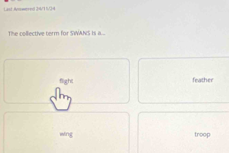 Last Answered 24/11/24
The collective term for SWANS is a...
flight feather
wing troop