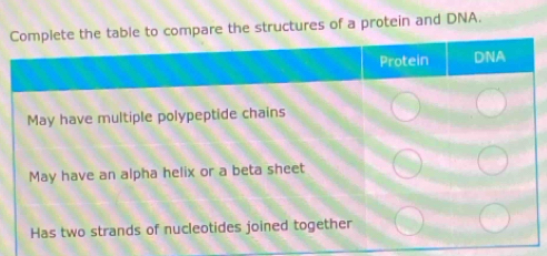 the structures of a protein and DNA.